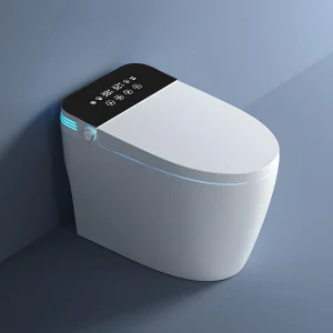 Smart Toilet with Bidet